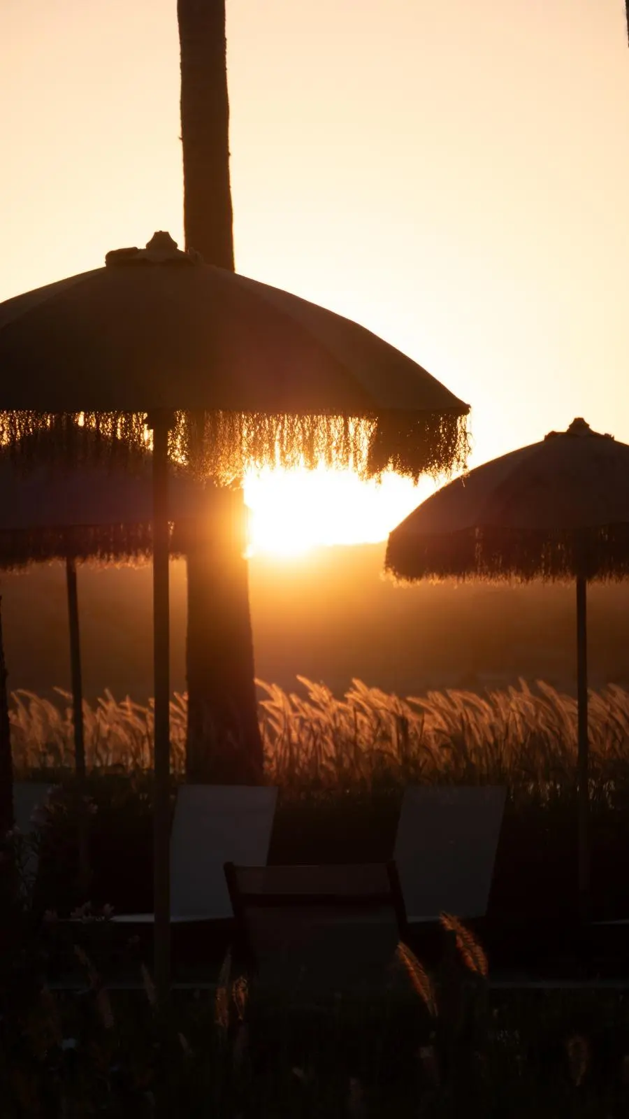 Coucher de soleil à couper le souffle et ciel étoilé lors d'une expérience de luxe dans le désert d'Agafay