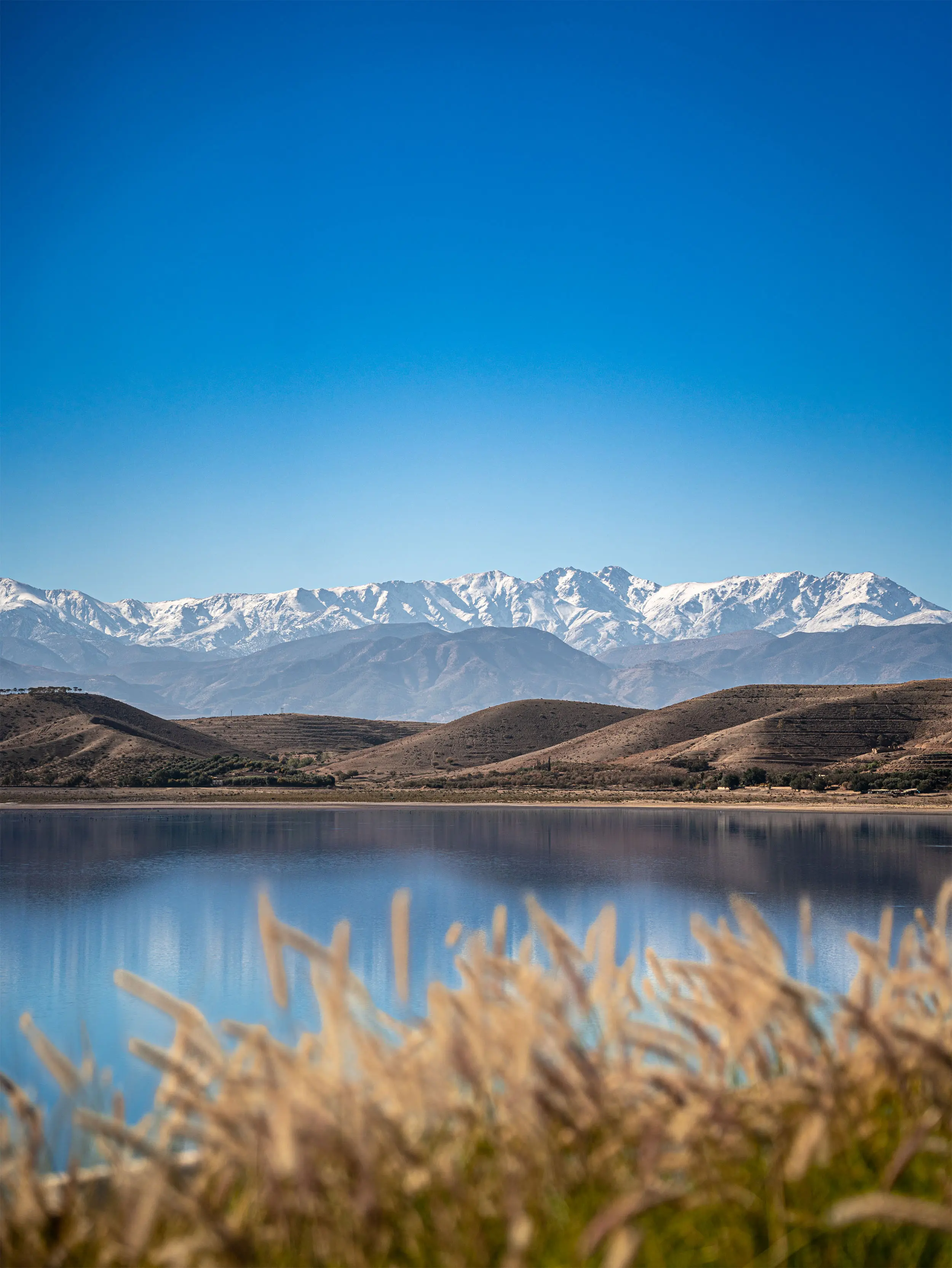 Excursion d'une journée complète combinant le désert d'Agafay et le paisible lac Takerkoust