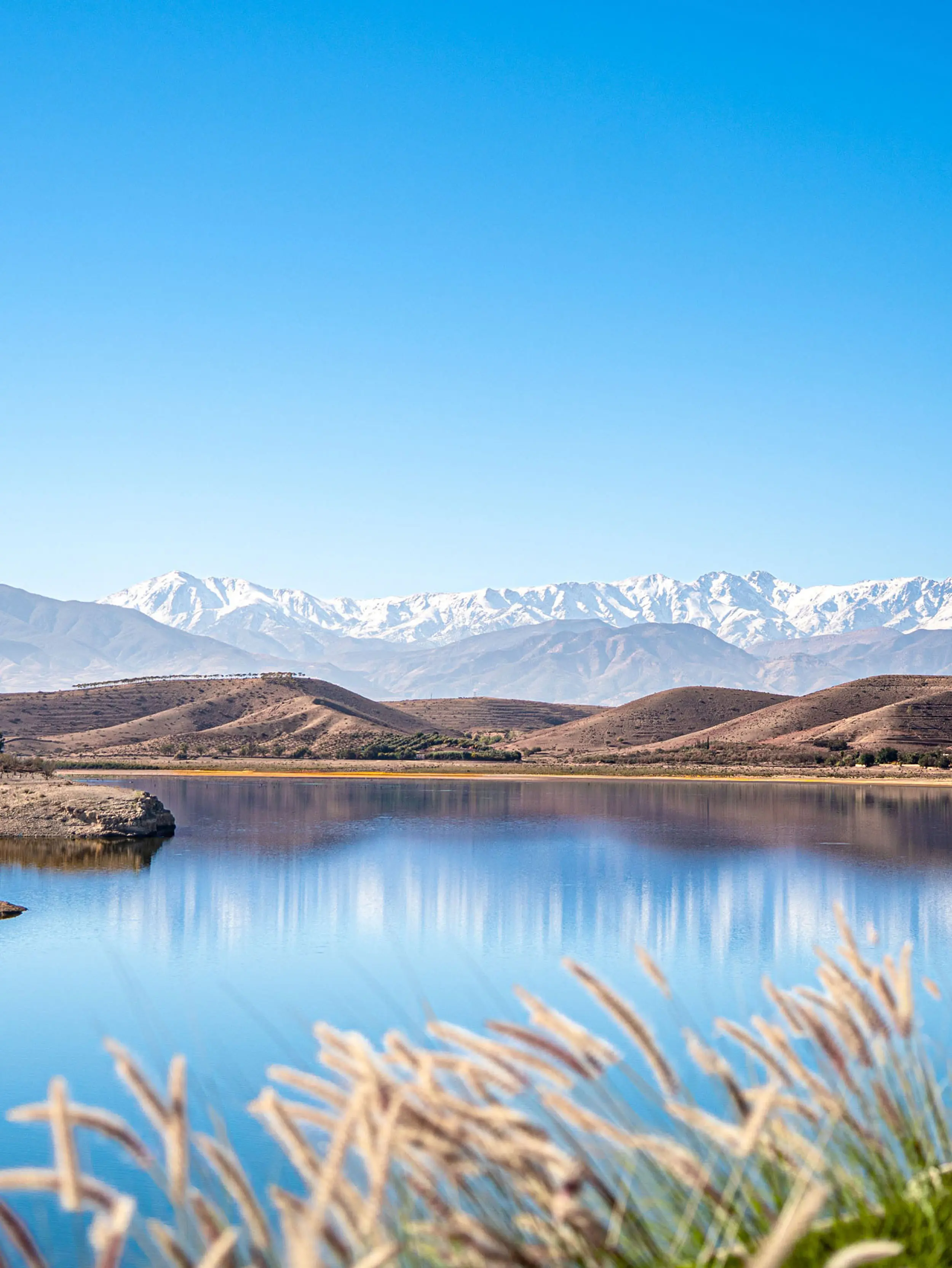 Luxury day experience in the Agafay Desert