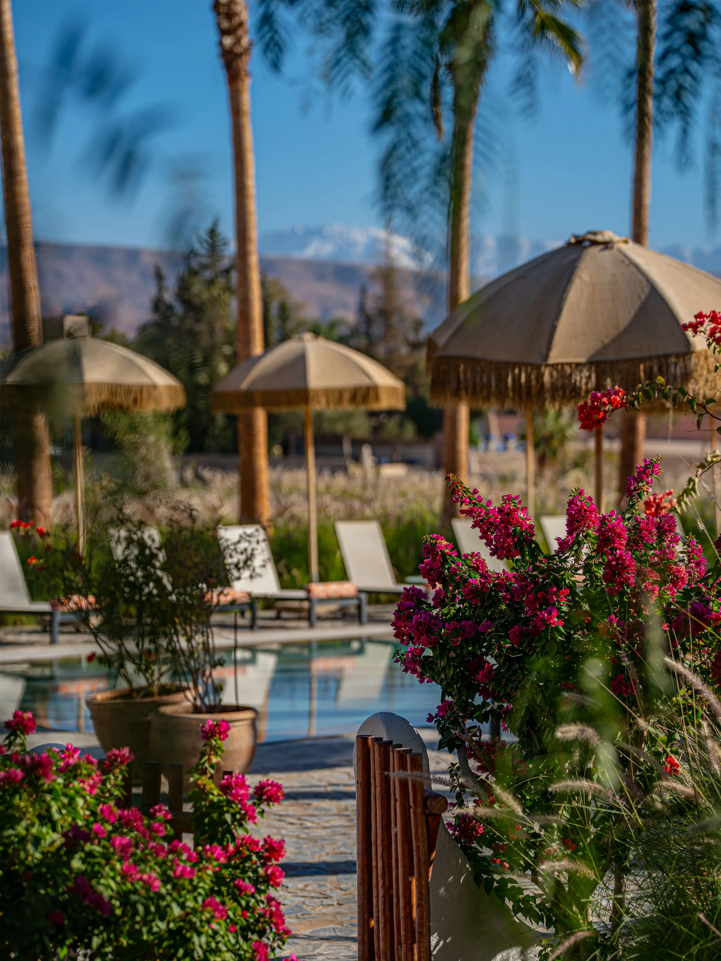 View of Takerkoust Lake and the Agafay Desert